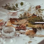 Dom pełen aromatów: 17 sprytnych sposobów na własny zielnik przez cały rok
