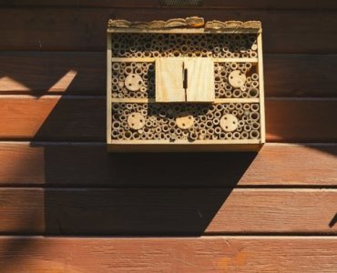 Kropla życia w ogrodzie: poidełko dla zapylaczy, które zrobisz w 15 minut