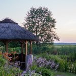Zapachowy raj przy altanie: 9 pnączy, które zamienią pergolę w romantyczny azyl